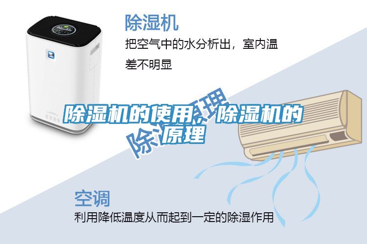 黄瓜视频在线播放的使用，黄瓜视频在线播放的原理