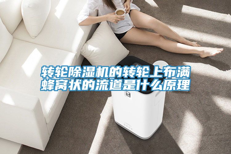 轉輪黄瓜视频在线播放的轉輪上布滿蜂窩狀的流道是什麽原理