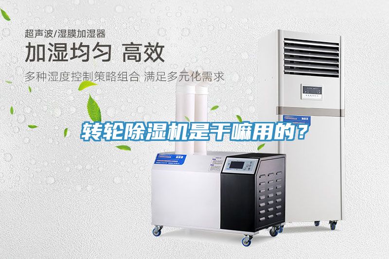 轉輪黄瓜视频在线播放是幹嘛用的？