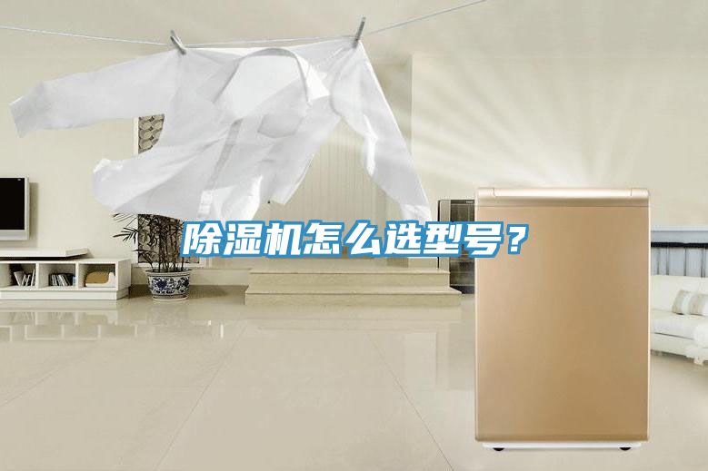 黄瓜视频在线播放怎麽選型號？