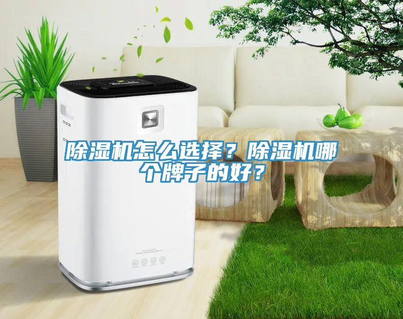 黄瓜视频在线播放怎麽選擇？黄瓜视频在线播放哪個牌子的好？