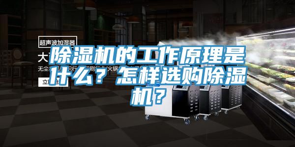 黄瓜视频在线播放的工作原理是什麽？怎樣選購黄瓜视频在线播放？