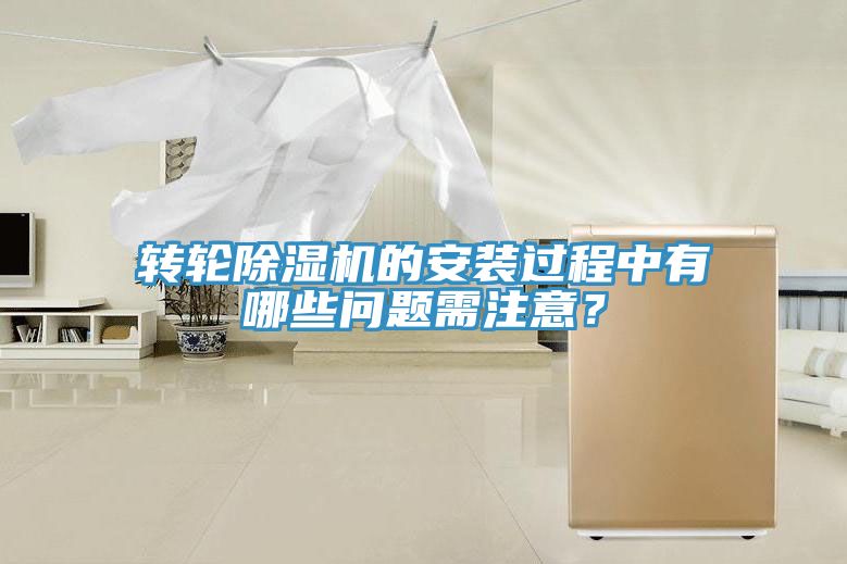 轉輪黄瓜视频在线播放的安裝過程中有哪些問題需注意？