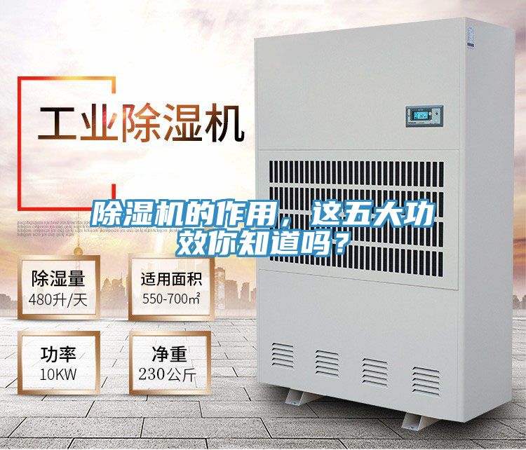 黄瓜视频在线播放的作用，這五大功效你知道嗎？